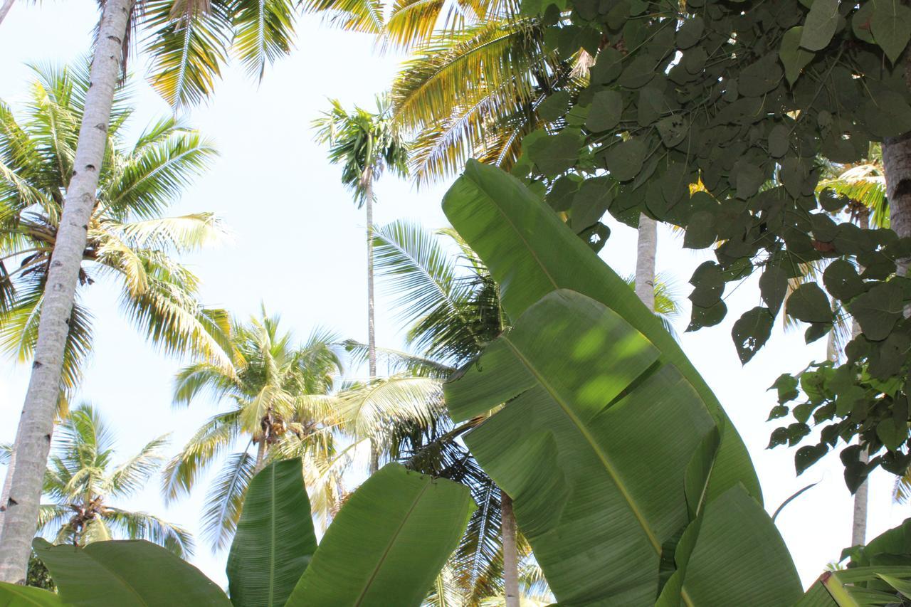 The Exotic Marigold Hotel Varkala Luaran gambar